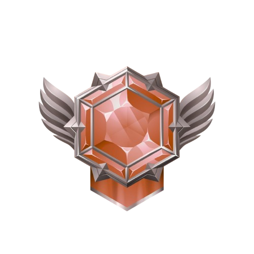 Bronze Member