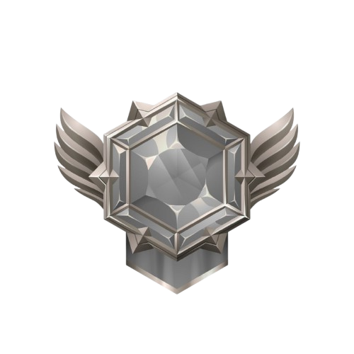 Silver Member